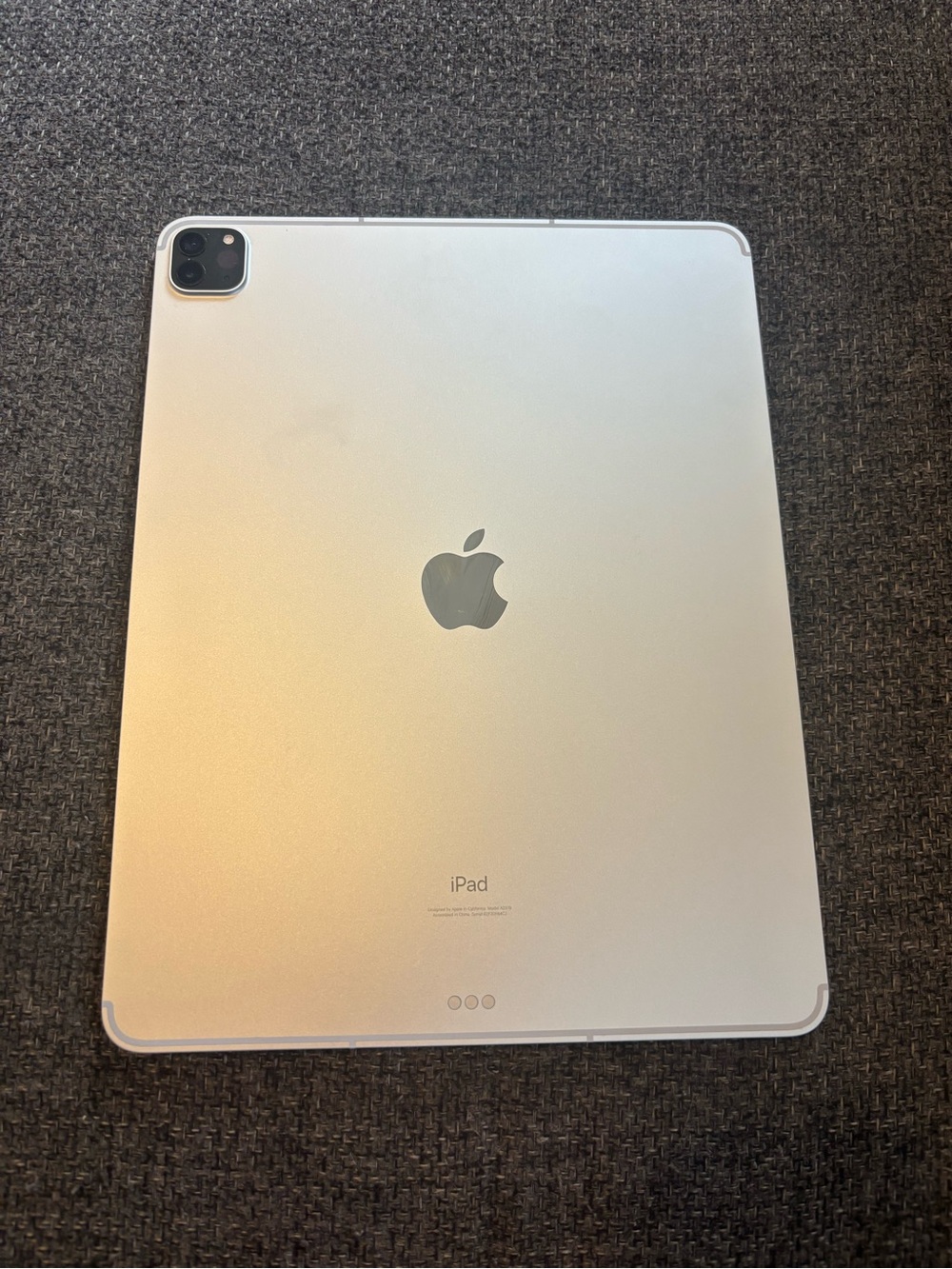 Apple Silver iPad Pro - Space Gray Apple Logo